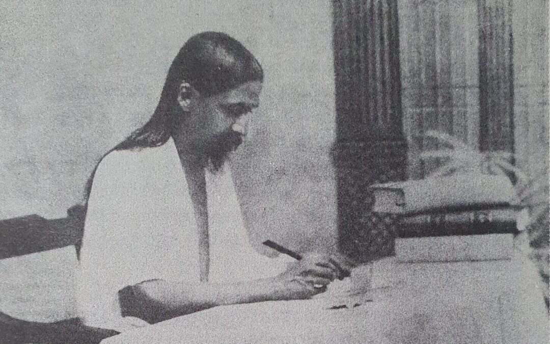 Sri Aurobindo. Šališkas poezijos ir meno kritikos dėmuo