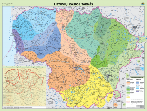 Daiva Tamošaitytė. Lietuvių kalbos lenktynės su laiku
