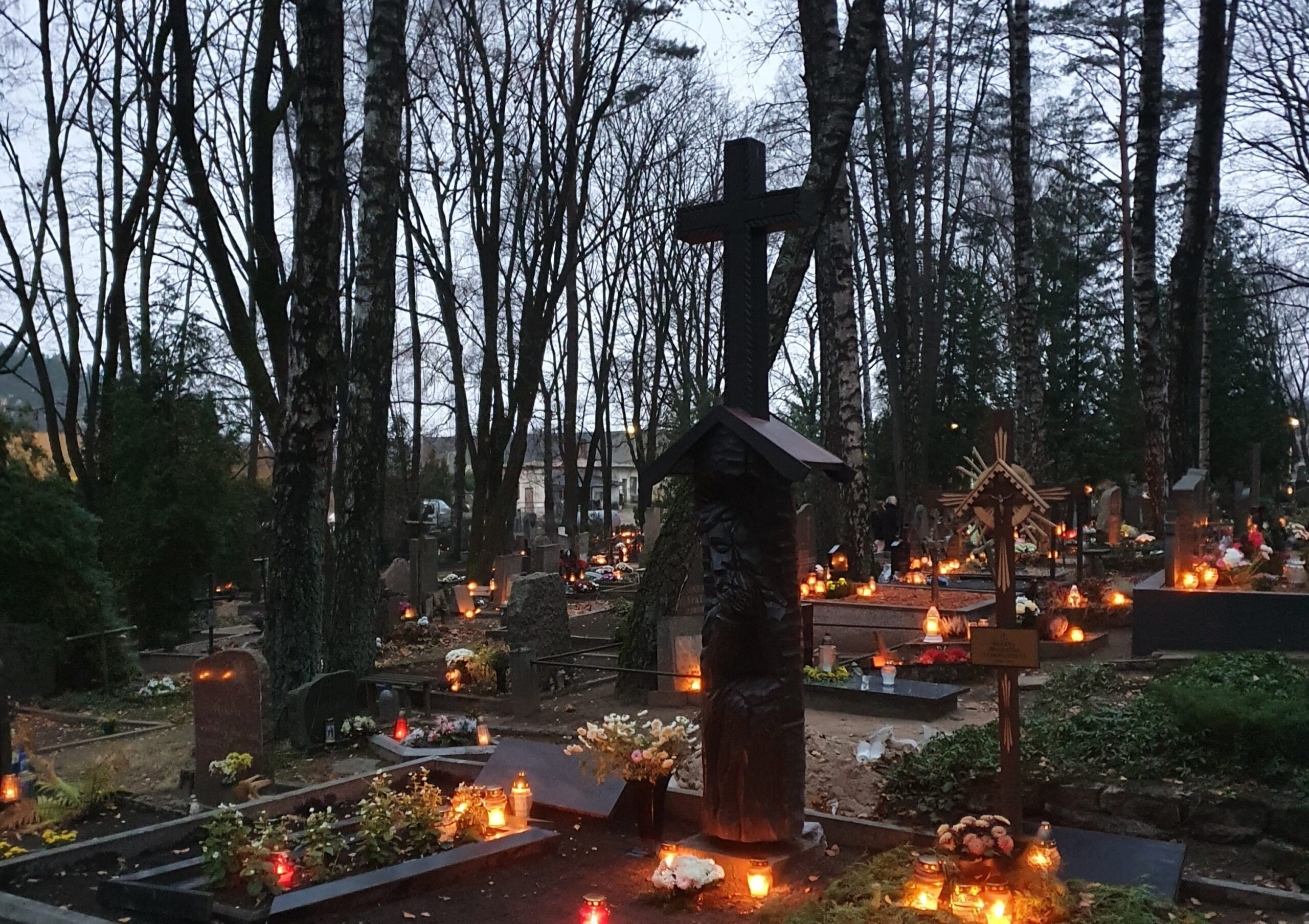Daiva Tamošaitytė. Paskutinė kalva
