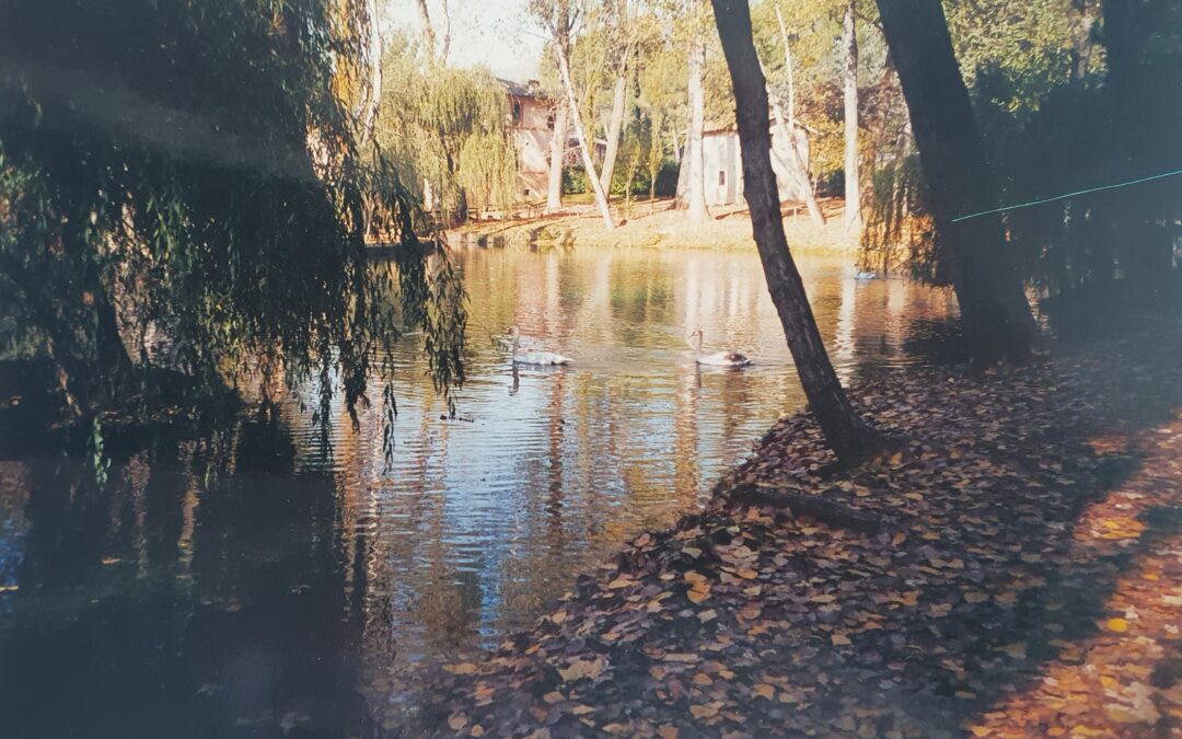 Daiva Tamošaitytė. Diptikas. I Sielininkas