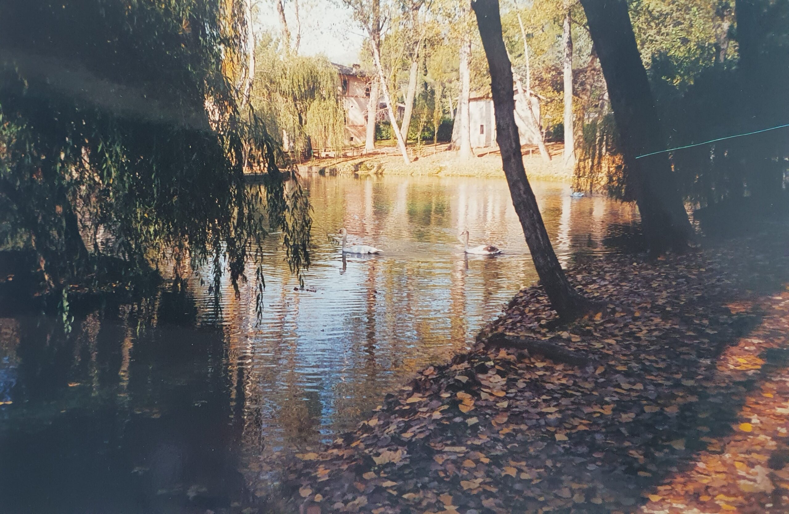 Daiva Tamošaitytė. Diptikas. I Sielininkas