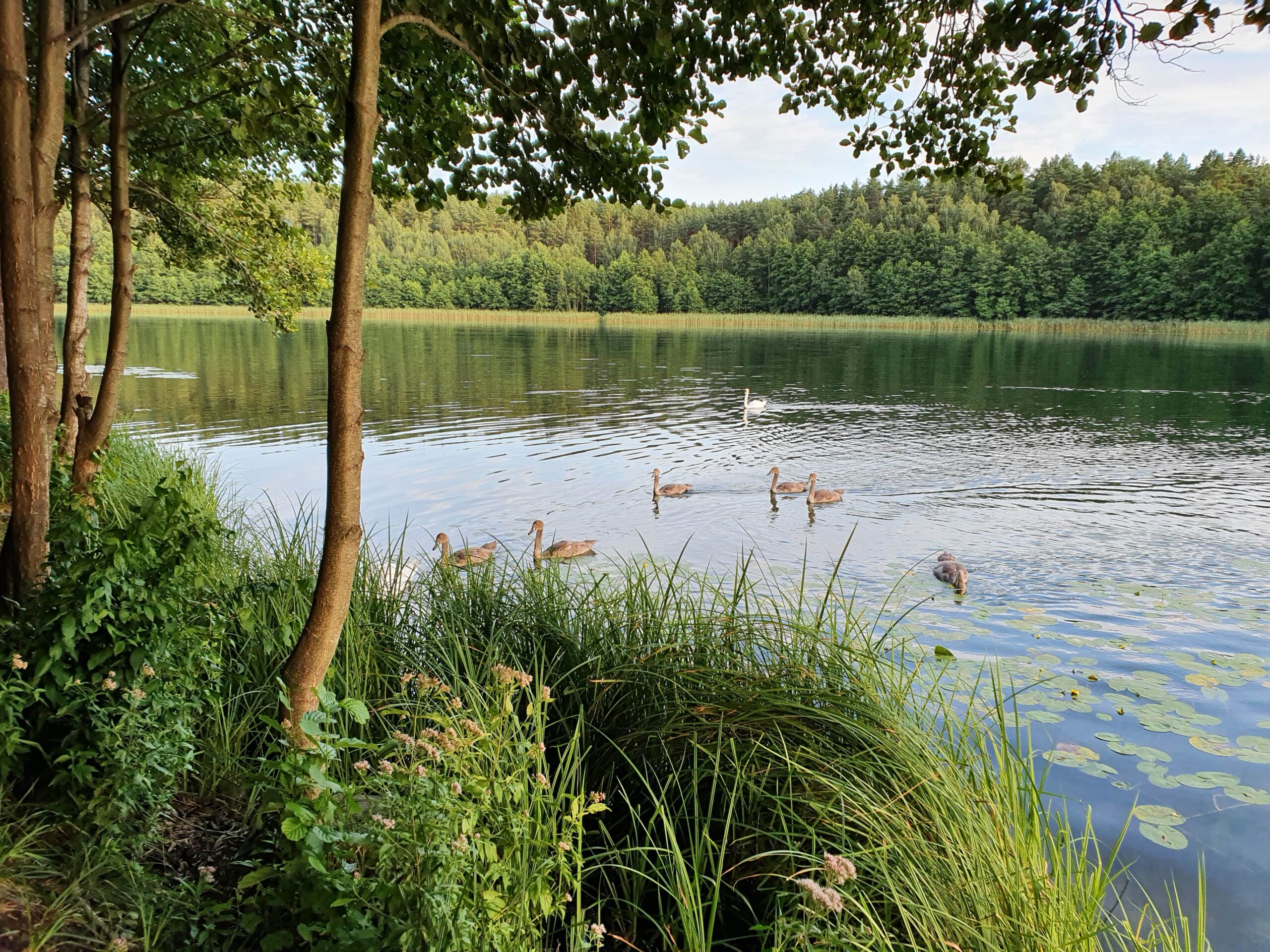 Daiva Tamošaitytė. Diptikas. II Dvasia