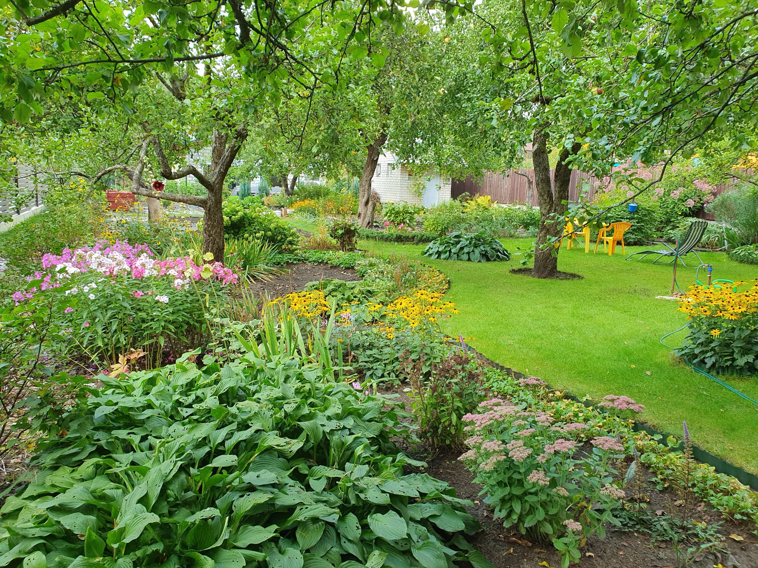 Daiva Tamošaitytė. Ilgės