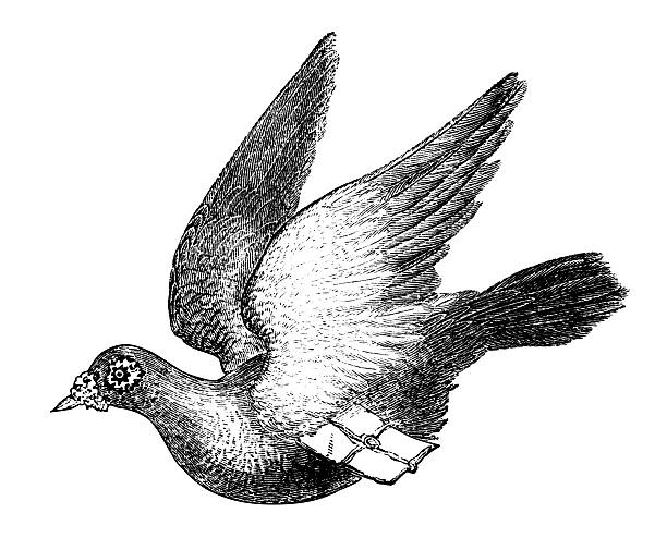 Apie sekuliarizmą. R Y Deshpande