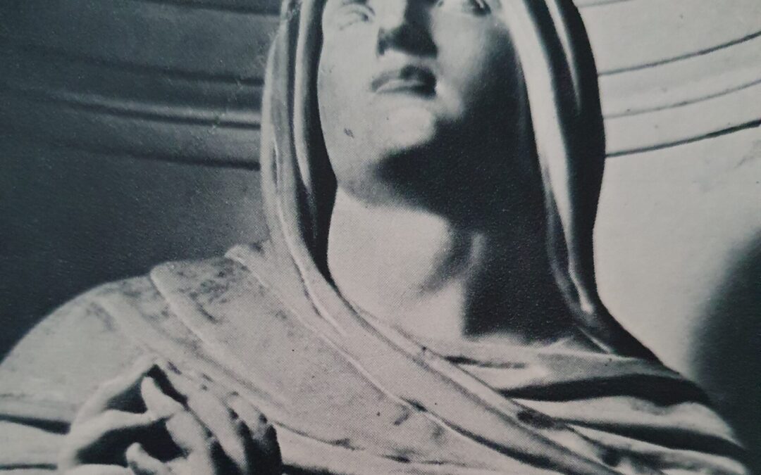 Sri Aurobindo. Svečias