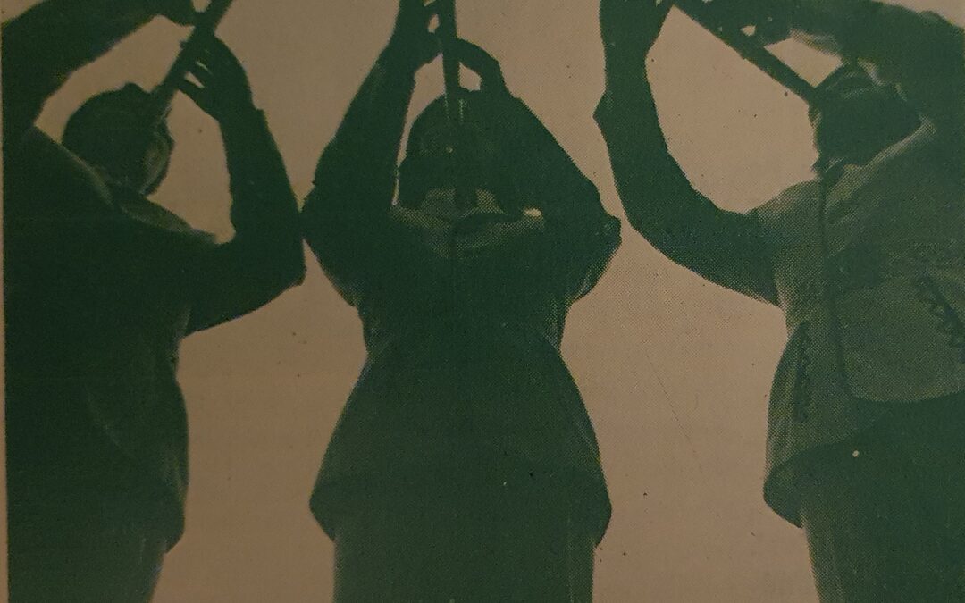 Sri Aurobindo. Šviesos fanfaros